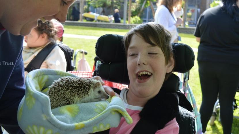 Indiana interacting with a hedgehog